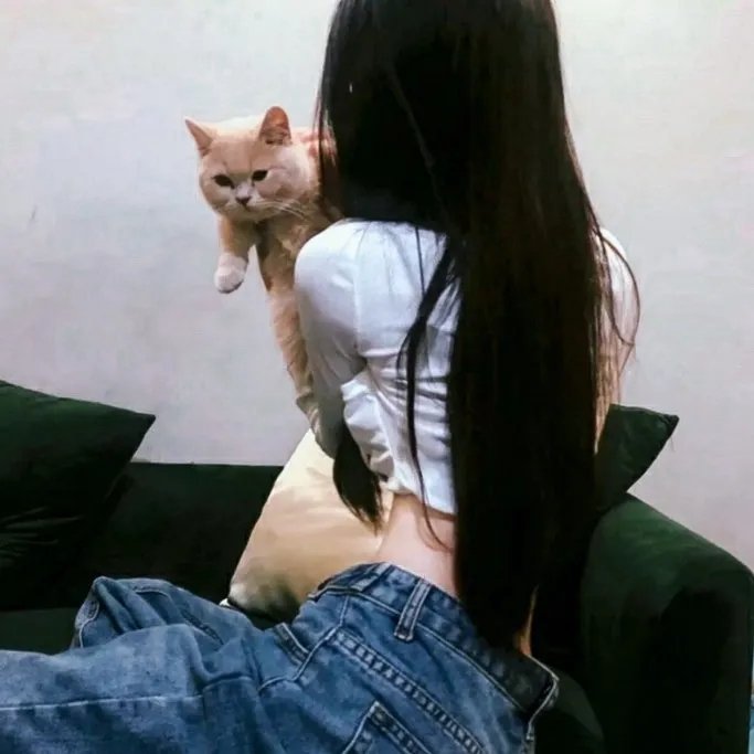 奇科·泽维尔海报